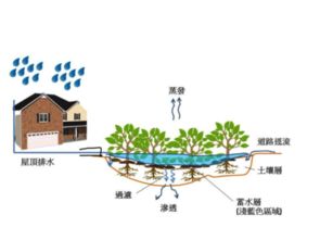 技術(shù)開發(fā) 從概念到實踐